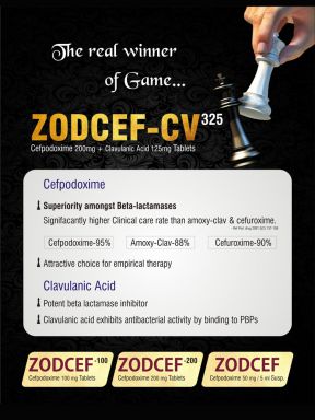 ZODCEF-100 - (Zodley Pharmaceuticals Pvt. Ltd.)